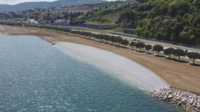 Apartma Rosa, Koper